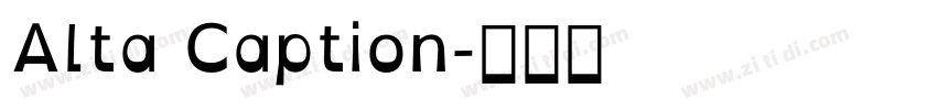 Alta Caption字体转换